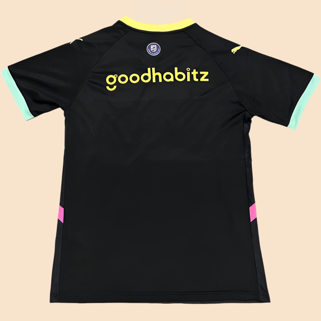 2024/2025 PSV Eindhoven