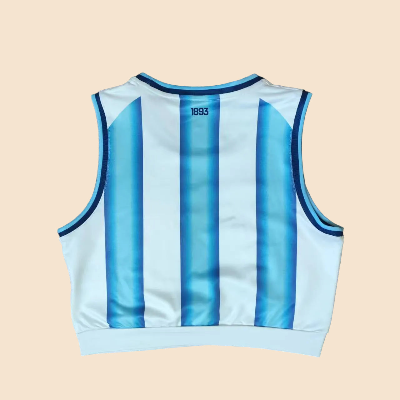 World Cup 2026 Argentina Crop Top