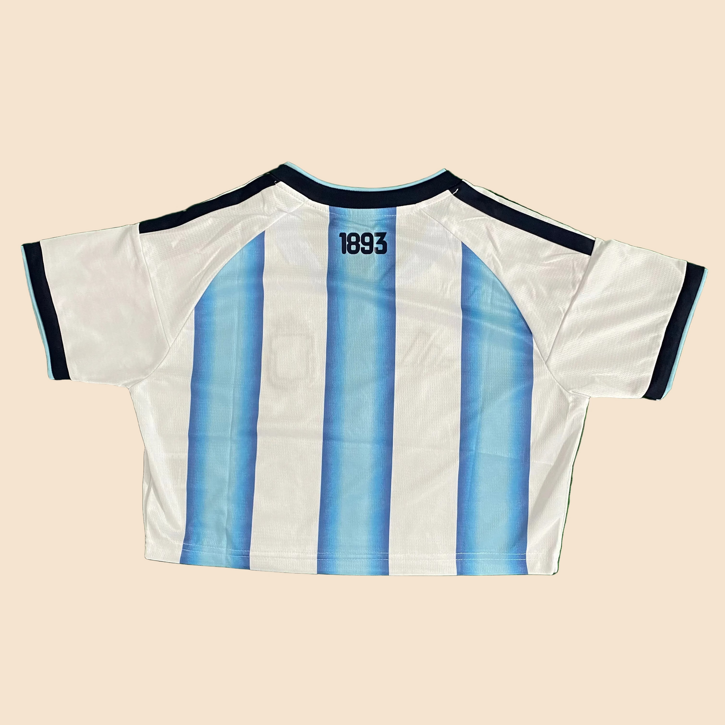 World Cup 2026 Argentina Jersey Corta