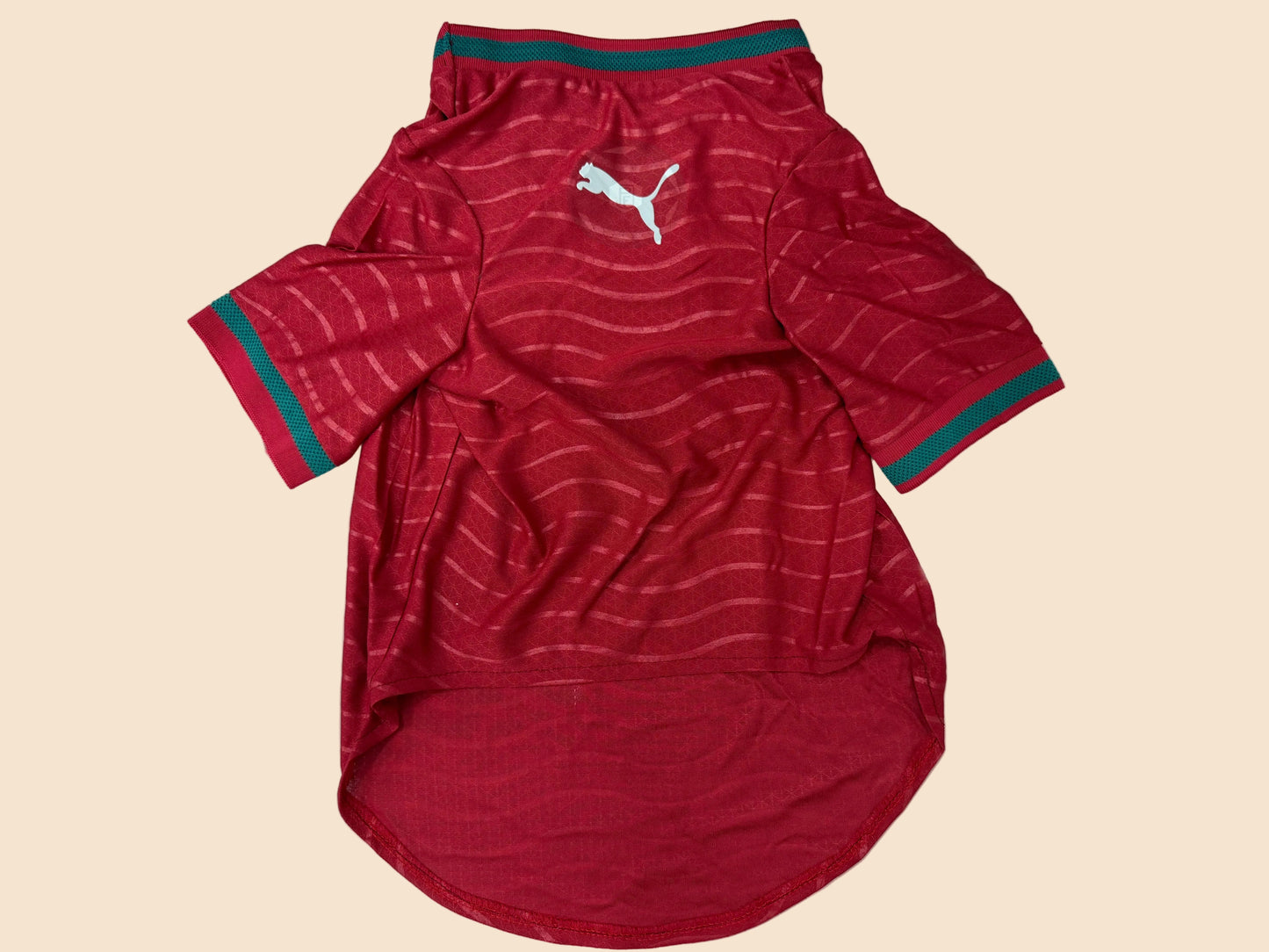 2026 Portugal Pet Jersey