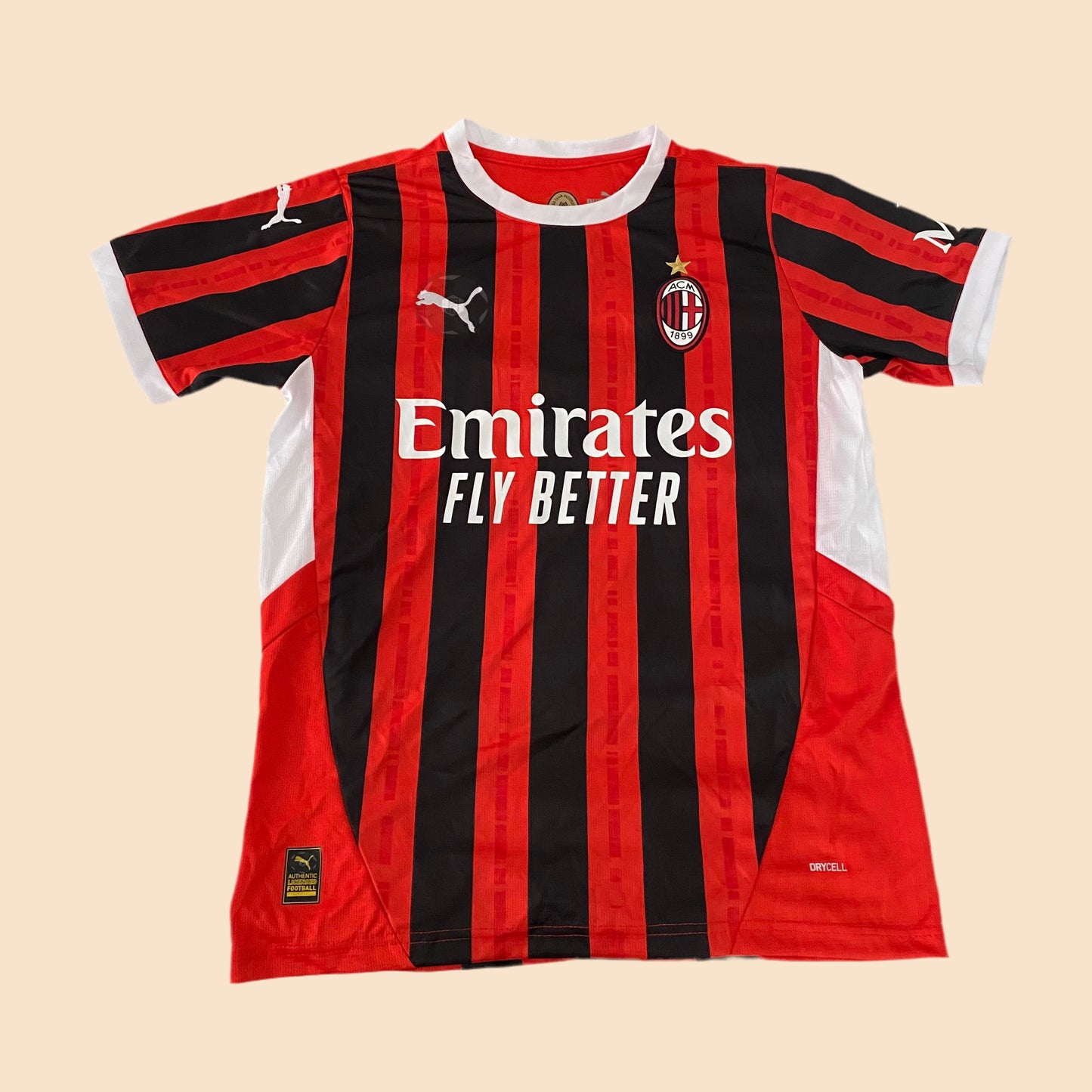 2024/2025 AC Milan