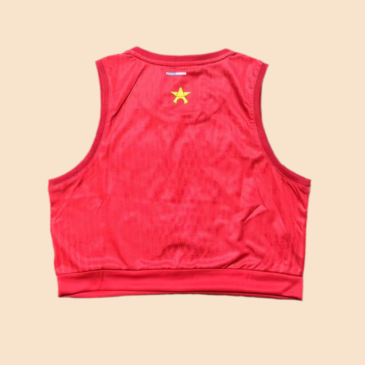25/26 PSG FC Crop Top