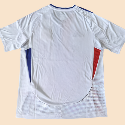 2024/2025 Olympique de Lyon
