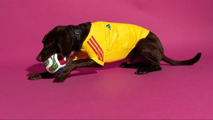 2026 Colombia Pet Jersey