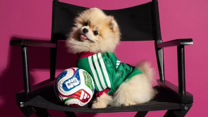 2026 México Pet Jersey