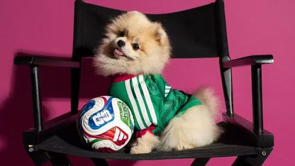 2026 México Pet Jersey