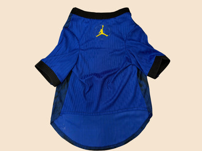 2026 Brasil Pet Jersey