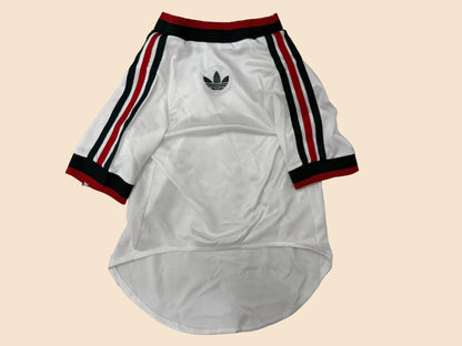 2026 México Pet Jersey