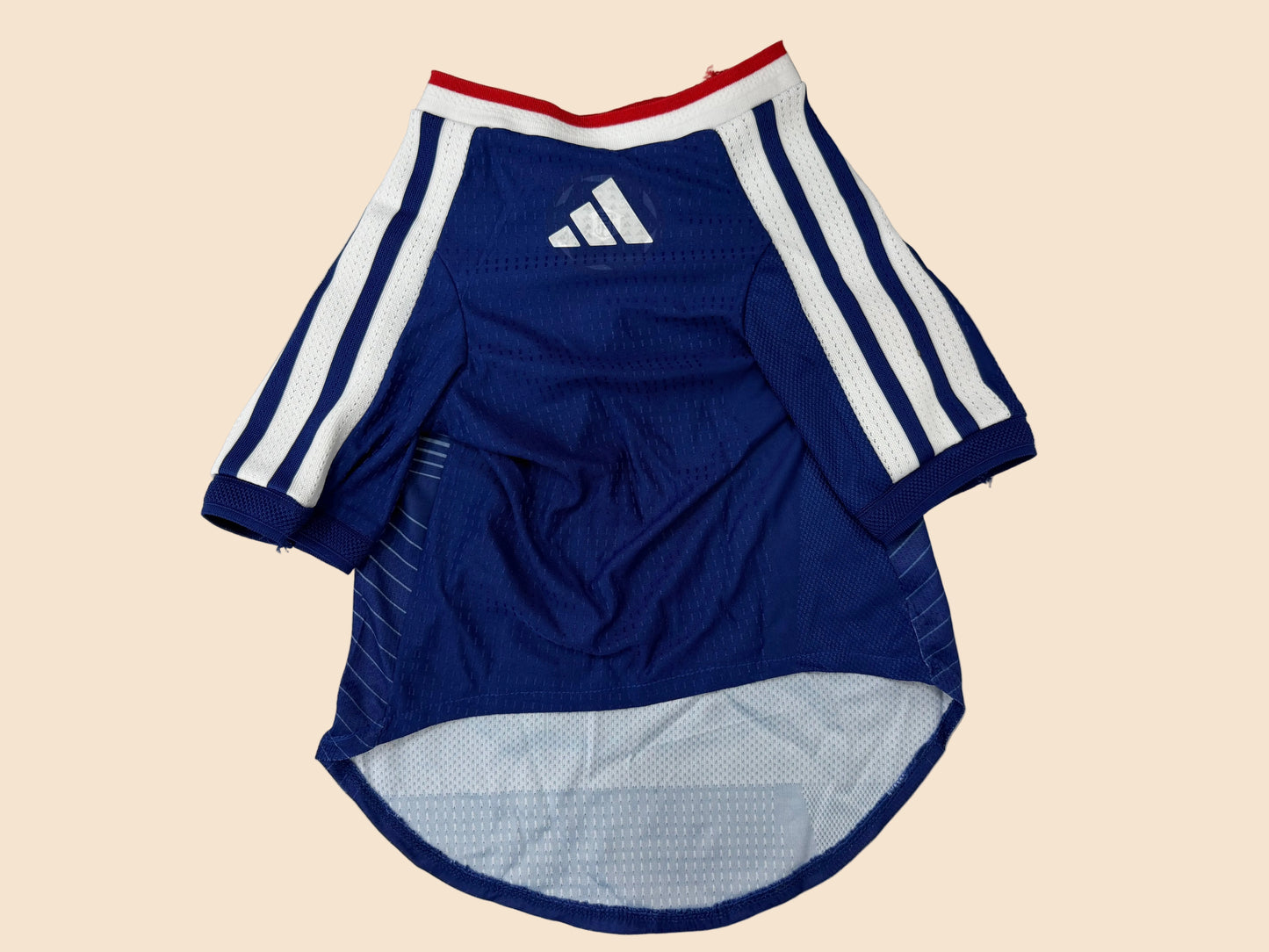 2026 Japón Pet Jersey